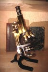 Reichert_Wien_Nr._40575.jpg